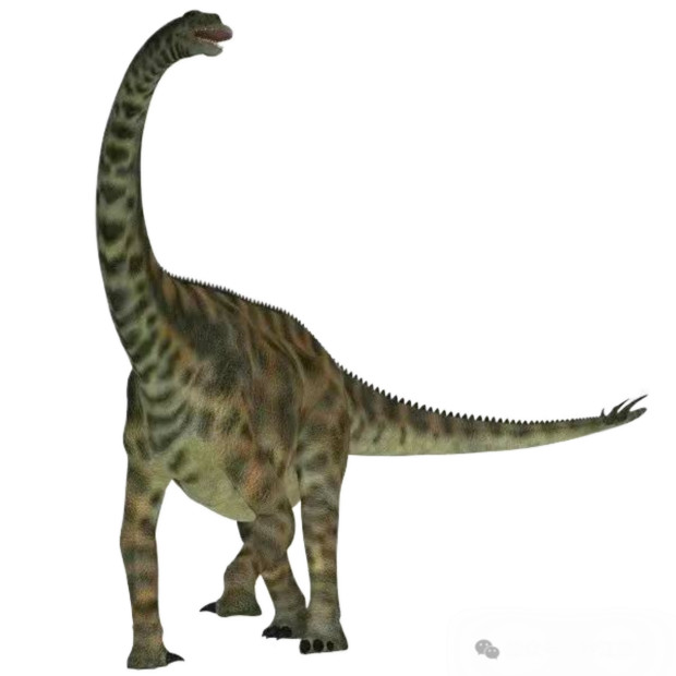 ͼƬ